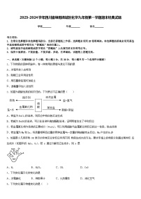 2023-2024学年四川省绵阳涪城区化学九年级第一学期期末经典试题含答案