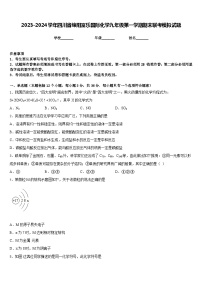 2023-2024学年四川省绵阳富乐国际化学九年级第一学期期末联考模拟试题含答案