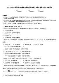 2023-2024学年四川省绵阳市绵阳外国语学校九上化学期末综合测试试题含答案