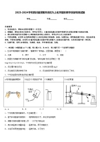 2023-2024学年四川省资阳市名校九上化学期末教学质量检测试题含答案