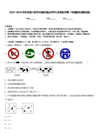 2023-2024学年安徽六安市叶集区观山中学九年级化学第一学期期末调研试题含答案