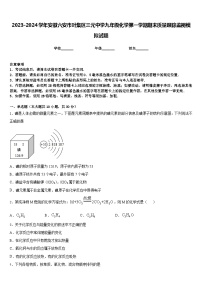 2023-2024学年安徽六安市叶集区三元中学九年级化学第一学期期末质量跟踪监视模拟试题含答案