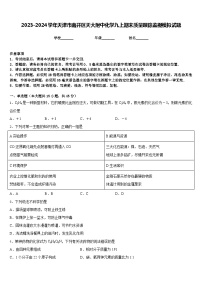 2023-2024学年天津市南开区天大附中化学九上期末质量跟踪监视模拟试题含答案