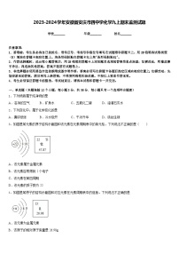 2023-2024学年安徽省安庆市四中学化学九上期末监测试题含答案