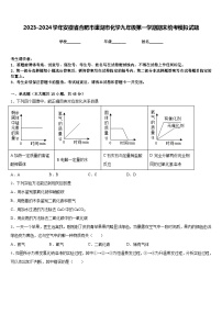 2023-2024学年安徽省合肥市巢湖市化学九年级第一学期期末统考模拟试题含答案