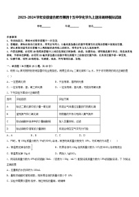 2023-2024学年安徽省合肥市第四十五中学化学九上期末调研模拟试题含答案