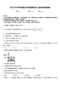 2023-2024学年安徽省六安市舒城县化学九上期末质量检测试题含答案