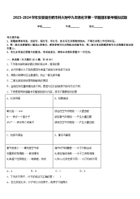 2023-2024学年安徽省合肥市科大附中九年级化学第一学期期末联考模拟试题含答案