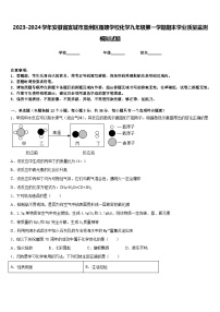 2023-2024学年安徽省宣城市宣州区雁翅学校化学九年级第一学期期末学业质量监测模拟试题含答案