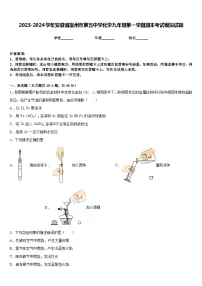 2023-2024学年安徽省宿州市第五中学化学九年级第一学期期末考试模拟试题含答案