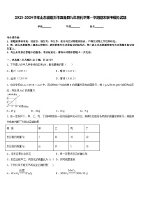 2023-2024学年山东省临沂市莒南县九年级化学第一学期期末联考模拟试题含答案