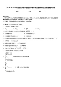 2023-2024学年山东省东营市胜利中学化学九上期末教学质量检测模拟试题含答案