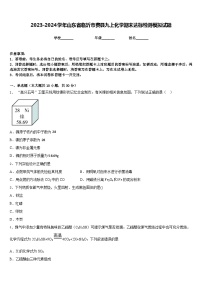 2023-2024学年山东省临沂市费县九上化学期末达标检测模拟试题含答案