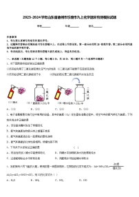 2023-2024学年山东省德州市乐陵市九上化学期末检测模拟试题含答案