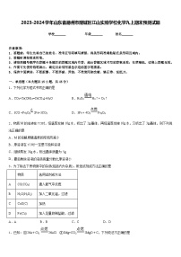 2023-2024学年山东省德州市陵城区江山实验学校化学九上期末预测试题含答案