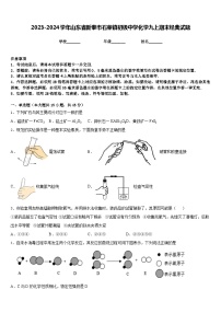 2023-2024学年山东省新泰市石莱镇初级中学化学九上期末经典试题含答案