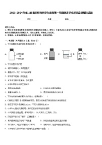 2023-2024学年山东省日照市化学九年级第一学期期末学业质量监测模拟试题含答案