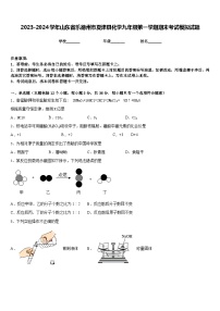 2023-2024学年山东省乐德州市夏津县化学九年级第一学期期末考试模拟试题含答案