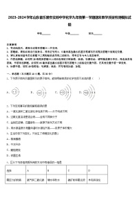 2023-2024学年山东省乐陵市实验中学化学九年级第一学期期末教学质量检测模拟试题含答案