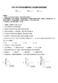 2023-2024学年山东省昌乐县九上化学期末达标检测试题含答案