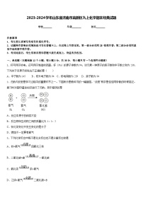 2023-2024学年山东省济南市高新区九上化学期末经典试题含答案