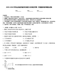 2023-2024学年山东省济南市历城区九年级化学第一学期期末联考模拟试题含答案