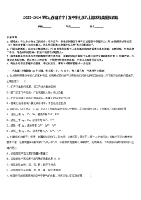 2023-2024学年山东省济宁十五中学化学九上期末经典模拟试题含答案