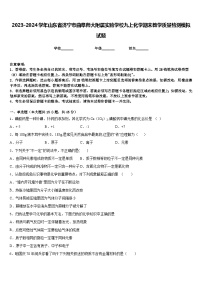 2023-2024学年山东省济宁市曲阜师大附属实验学校九上化学期末教学质量检测模拟试题含答案