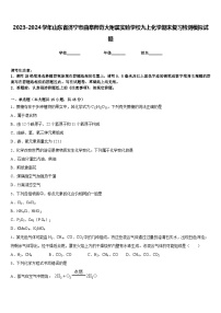 2023-2024学年山东省济宁市曲阜师范大附属实验学校九上化学期末复习检测模拟试题含答案