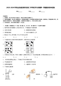 2023-2024学年山东省日照市实验二中学化学九年级第一学期期末统考试题含答案