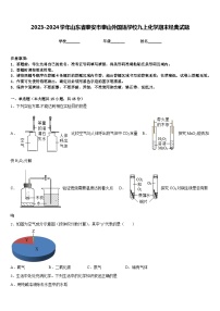 2023-2024学年山东省泰安市泰山外国语学校九上化学期末经典试题含答案