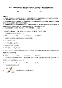 2023-2024学年山东省青岛市多学校九上化学期末质量检测模拟试题含答案