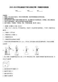 2023-2024学年山西省乡宁县九年级化学第一学期期末经典试题含答案