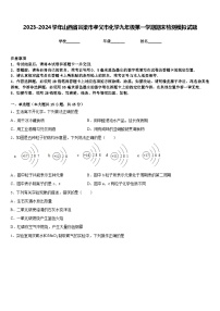 2023-2024学年山西省吕梁市孝义市化学九年级第一学期期末检测模拟试题含答案