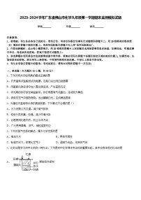 2023-2024学年广东省佛山市化学九年级第一学期期末监测模拟试题含答案