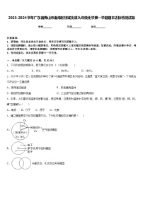 2023-2024学年广东省佛山市南海区桂城街道九年级化学第一学期期末达标检测试题含答案