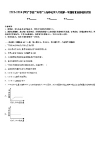 2023-2024学年广东省广州市广大附中化学九年级第一学期期末监测模拟试题含答案