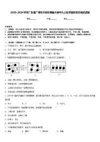 2023-2024学年广东省广州市天河区暨南大附中九上化学期末综合测试试题含答案