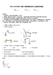 2023-2024学年广东省广州市越秀区化学九上期末统考试题含答案