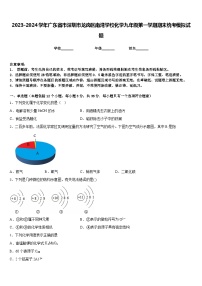 2023-2024学年广东省市深圳市龙岗区南湾学校化学九年级第一学期期末统考模拟试题含答案