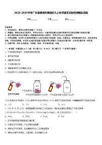 2023-2024学年广东省惠州市惠城区九上化学期末达标检测模拟试题含答案