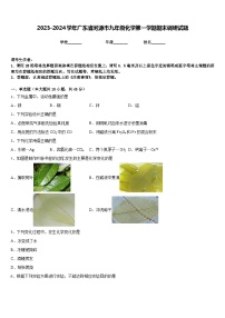 2023-2024学年广东省河源市九年级化学第一学期期末调研试题含答案