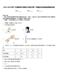 2023-2024学年广东省梅州市丰顺县九年级化学第一学期期末质量跟踪监视模拟试题含答案