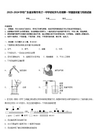 2023-2024学年广东省深圳市育才一中学初化学九年级第一学期期末复习检测试题含答案