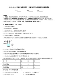 2023-2024学年广东省深圳市十校联考化学九上期末检测模拟试题含答案