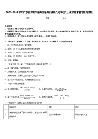 2023-2024学年广东省深圳市龙岗区龙岗区横岗六约学校九上化学期末复习检测试题含答案