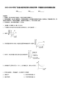 2023-2024学年广东省汕尾市海丰县九年级化学第一学期期末达标检测模拟试题含答案