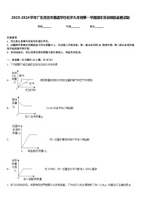 2023-2024学年广东茂名市直属学校化学九年级第一学期期末质量跟踪监视试题含答案