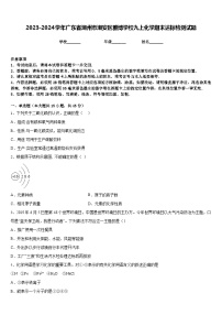 2023-2024学年广东省潮州市潮安区雅博学校九上化学期末达标检测试题含答案