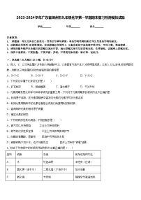 2023-2024学年广东省潮州市九年级化学第一学期期末复习检测模拟试题含答案